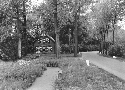 89069 Gezicht op de Ockhuizerweg te Haarzuilens (gemeente Vleuten-De Meern). N.B. De gemeente Vleuten-De Meern is per 1 ...